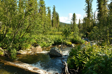 A small turbulent stream flows down from it through a dense forest, bending around stones and...