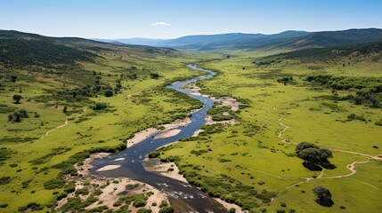 River and green forest 