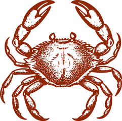 Beautiful Classic Hand Drawing Crab Illustration
