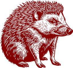 Beautiful Classic Hand Drawing Hedgehog Illustration