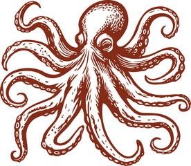 Beautiful Classic Hand Drawing Octopus Illustration