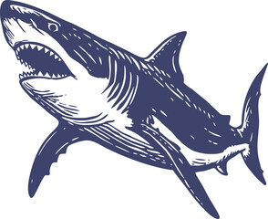 Beautiful Classic Hand Drawing Shark Illustration