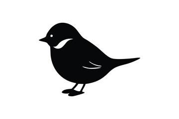 Obraz premium Magpie Robin vector art and illustration