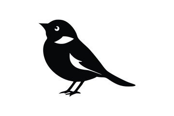 Obraz premium Magpie Robin vector art and illustration