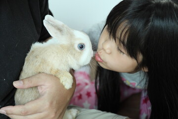 Cute Young Rabbit