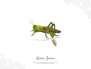 Grasshopper lying eggs vector art for wall decoration