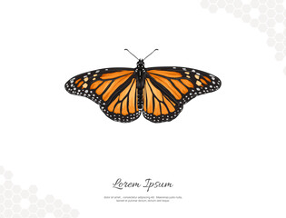 Monarch Butterfly wings vector art for wall decoration