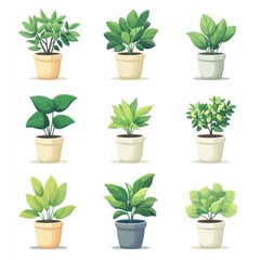 Fototapeta premium Collection of Nine Potted Plants - Illustration