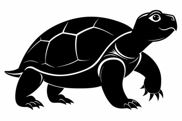 Turtle vector art and illustration
