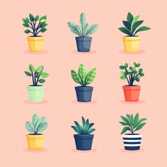 Illustration of Nine House Plants in Pots