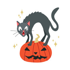 Halloween cat on the pumpkin icon clipart avatar logtotype isolated illustration