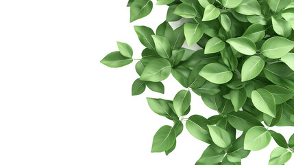 Obraz premium A close up of green leaves with a white background. The leaves are arranged in a way that creates a sense of depth and movement. The image conveys a feeling of growth and vitality