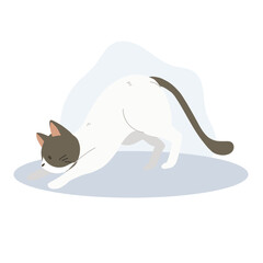 Side View of a Cute Kitten Crouching or Stretching. Kawaii Cat in Relaxing Posture