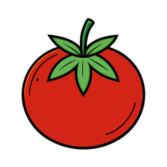 tomato vector illustration