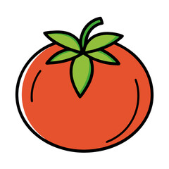 tomato vector illustration