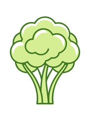 Broccoli vector illustration 
