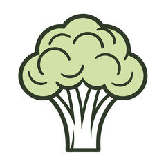 Broccoli vector illustration 