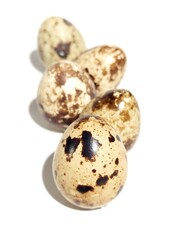 quail eggs on white