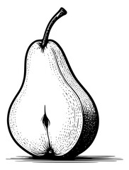 Pear line art vector 