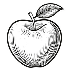 Apple with a leaf line art vector 