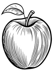 Apple with a leaf line art vector 