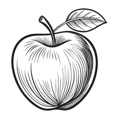 Apple with a leaf line art vector 