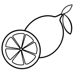 Lemon line art vector