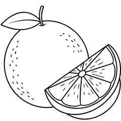  Line art of a lime vector illustration 
