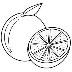  Line art of a lime vector illustration 
