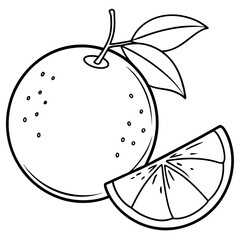 Orange fruit with leaves and slice line art. Vector illustration
