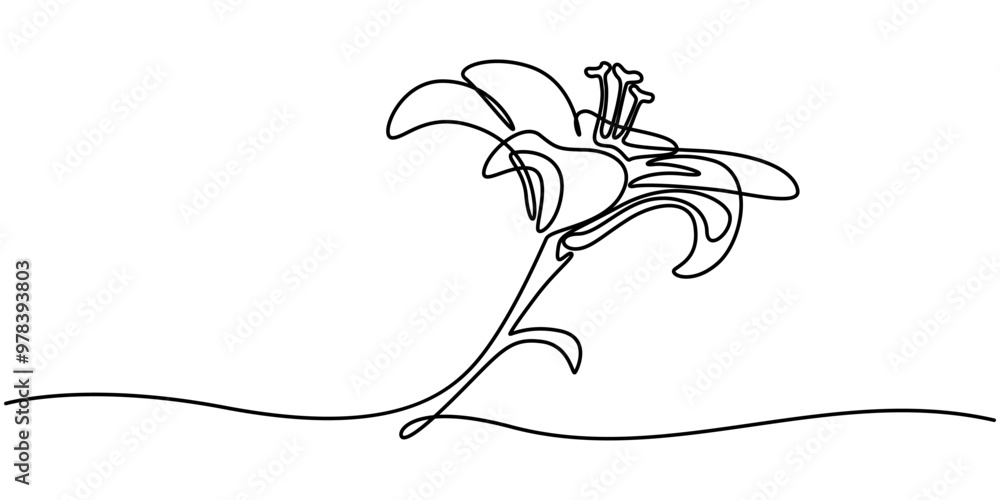 Sticker trout lily flower continuous line drawing with varying width editable stroke, lily flower in continu