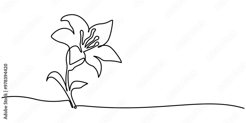 Poster trout lily flower continuous line drawing with varying width editable stroke, lily flower in continu