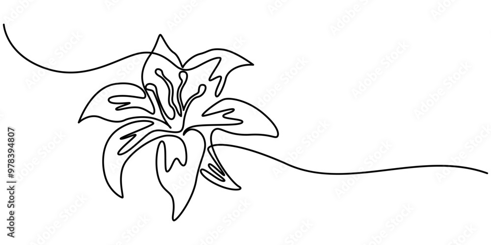 Poster trout lily flower continuous line drawing with varying width editable stroke, lily flower in continu