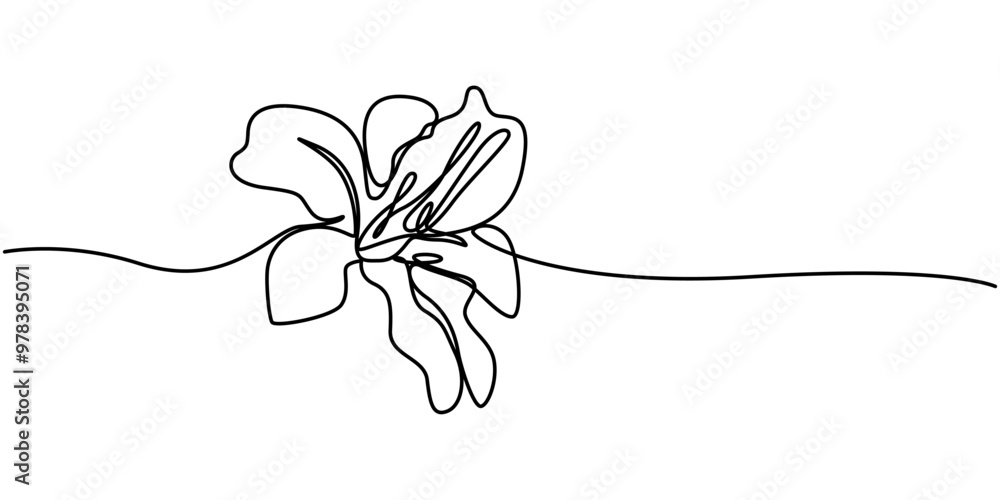 Poster trout lily flower continuous line drawing with varying width editable stroke, lily flower in continu