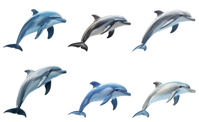 Fototapeta premium Dolphins swimming in various angles isolated on transparent background
