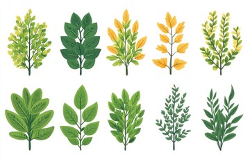 Green and Yellow Leaf Branch Illustration