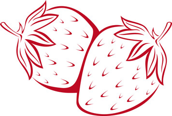 strawberry © Santiago