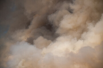 thick wildfire smoke fills the air