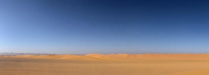 11. **An expansive desert landscape with golden sand dunes and a cloudless sky. The horizon stretches far into the distance, creating a sense of vastness.