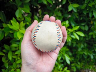 Close up of hand holding baseball. leaf background