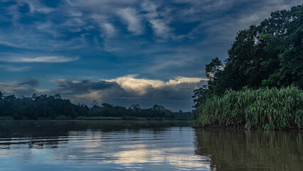 Morning on a tropical river. Thickets of rain forest, lush grass on the shore. Clouds in the blue sky. Reflection on the smooth surface of the water. Malaysia. Borneo. Kinabatangan River.