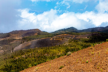Naklejka premium Volcanic landscape, Island La Palma, Canary Islands, Spain, Europe.