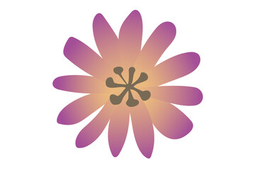 紫色とオレンジ色のグラデーションのシンプルな花のイラスト