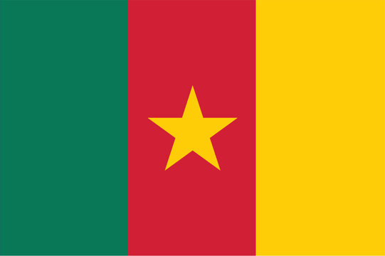 Nationall flag of Cameroon. Vector illustration
