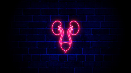 Urinary system. Neon and glowing dialysis line icon. Human urinary bladder on brick wall.