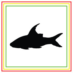 black freshwater ornamental fish silhouette vector design on a white background