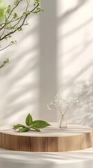 White pedestal in front of a bright wall, with soft green plant shadows creating an artistic minimalist composition, Sunlit Minimalist Staircase with Greenery and Shadows, room with a window, 
