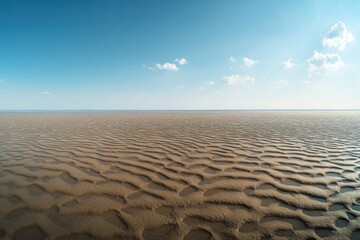 Panoramic Mudflat Serenity: Low Tide's Expansive Canvas