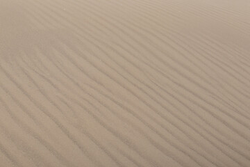 Close-up photography with copy space, of natural patterns created by the wind on a desert sand dune in sunlight, highlighting the natural textures of the landscape