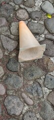 Closeup of a small discolored cone on soil stones,Primer plano de un cono pequeño descolorido...